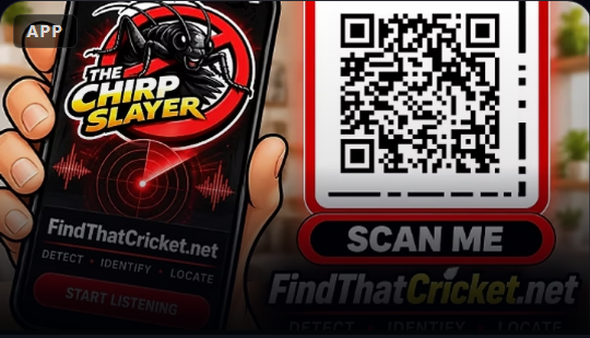Find That Cricket