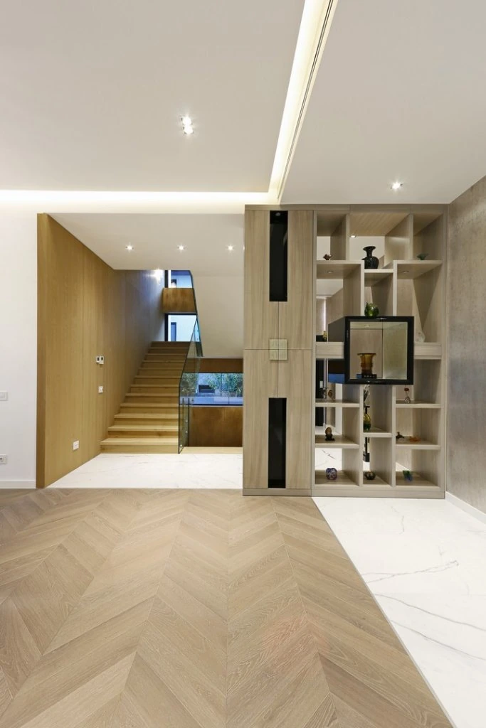 Pipera Contemporary House 2