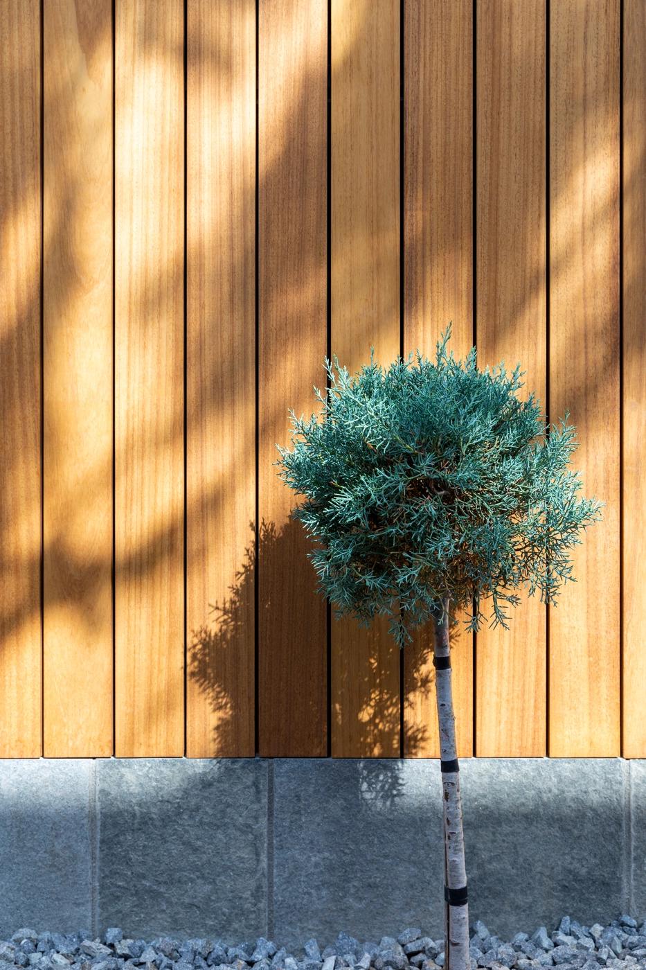 Warm Urban House 5