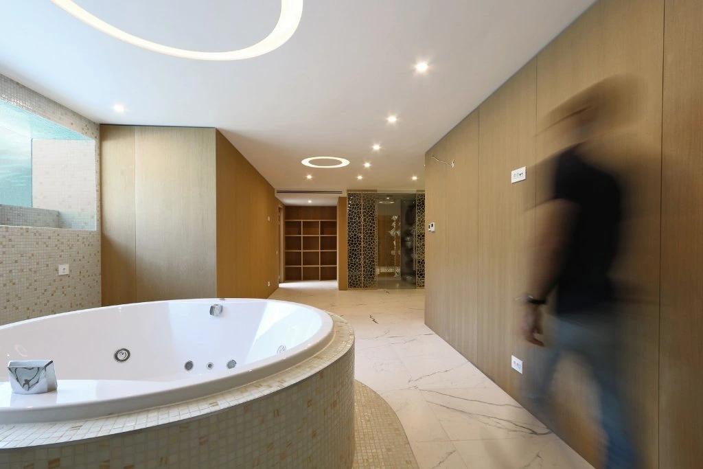 Pipera Contemporary House 6
