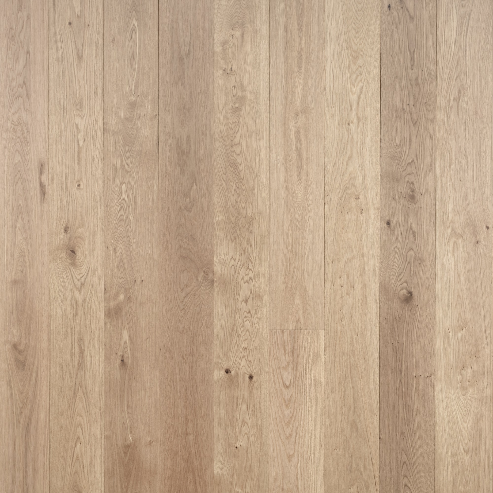 Oak Plank