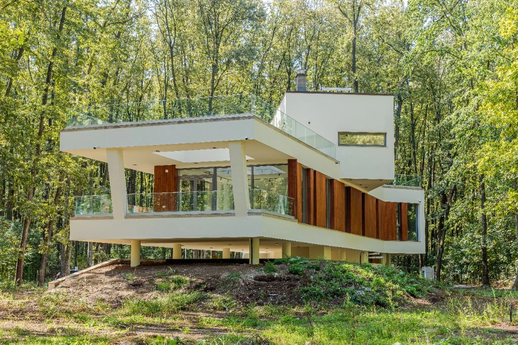 Forest House