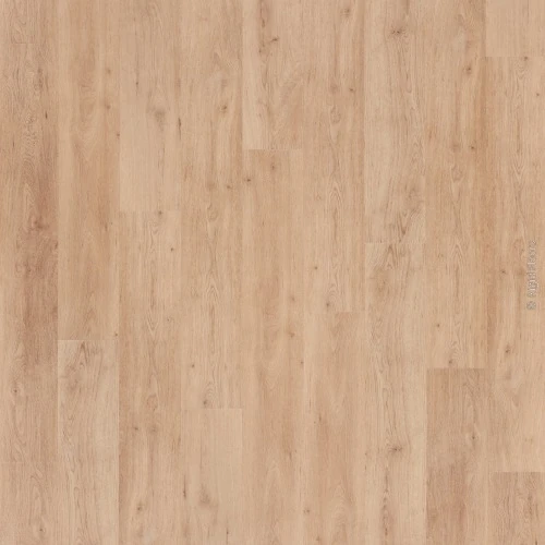 Oak