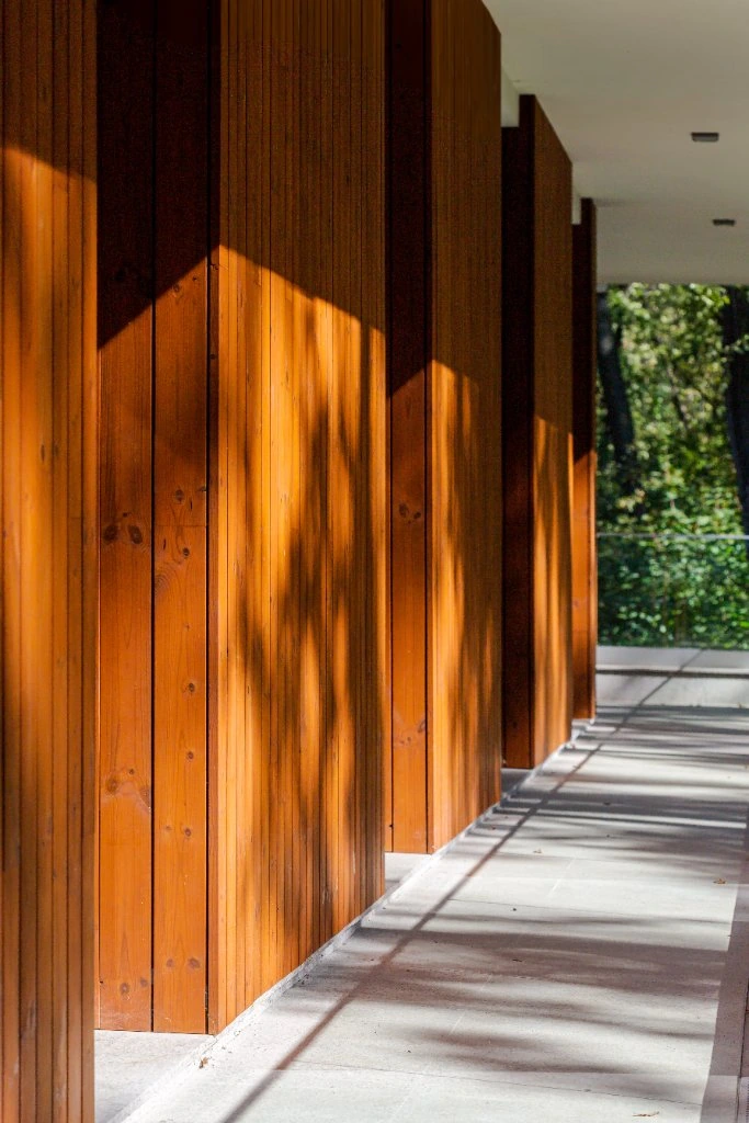 Forest House 4