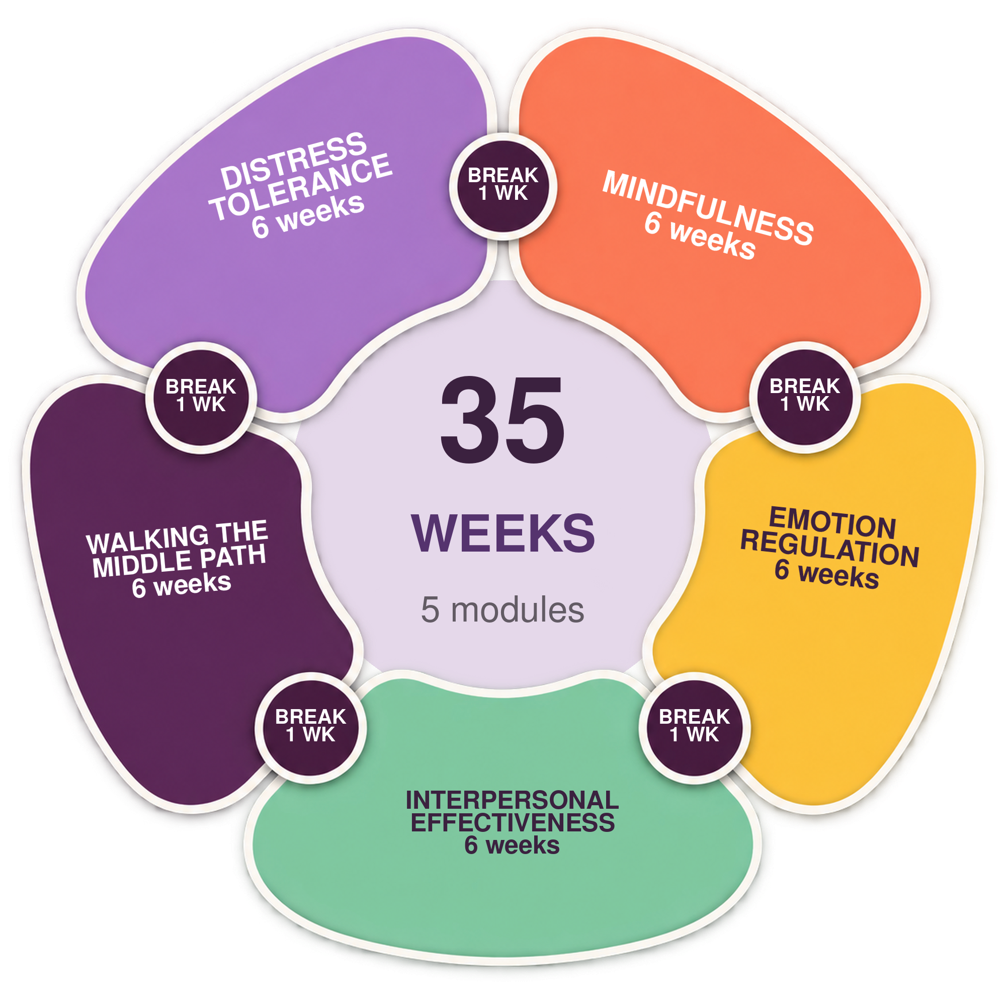 DBT 35-Week Curriculum Wheel — five modules with one-week breaks between each