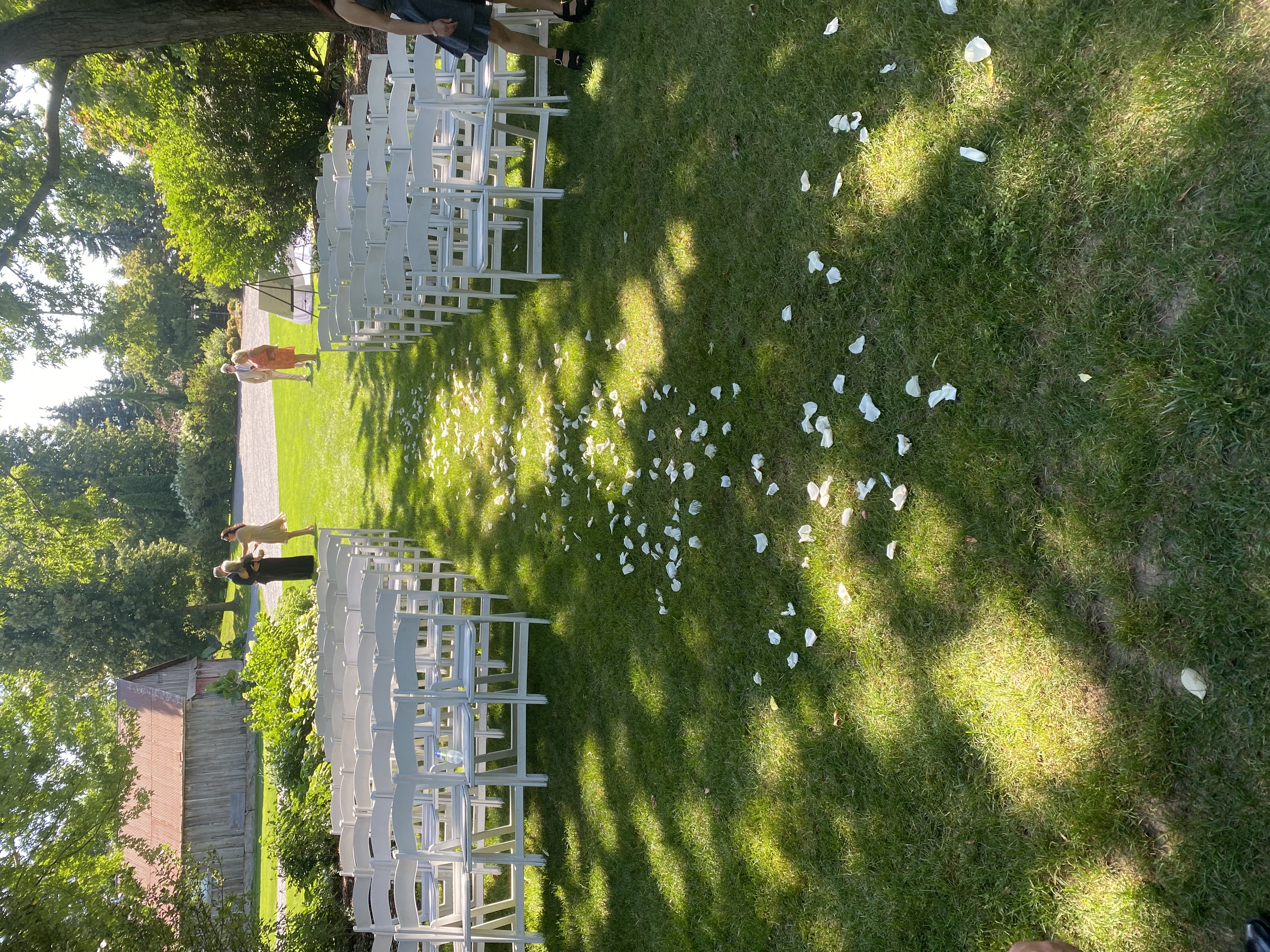 Aisle of white chairs with scattered petals leading to the gazebo