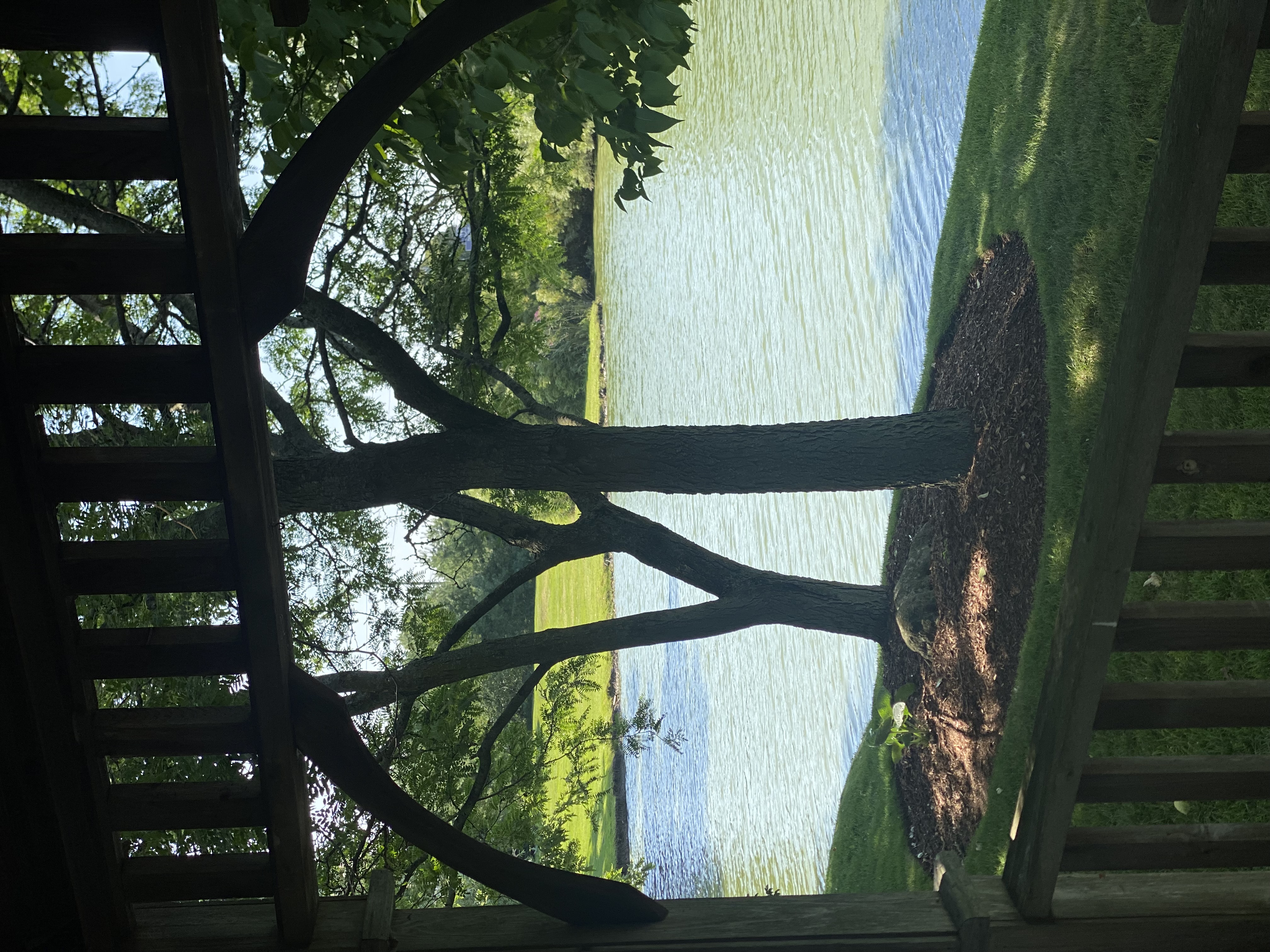 View from the gazebo out toward the water