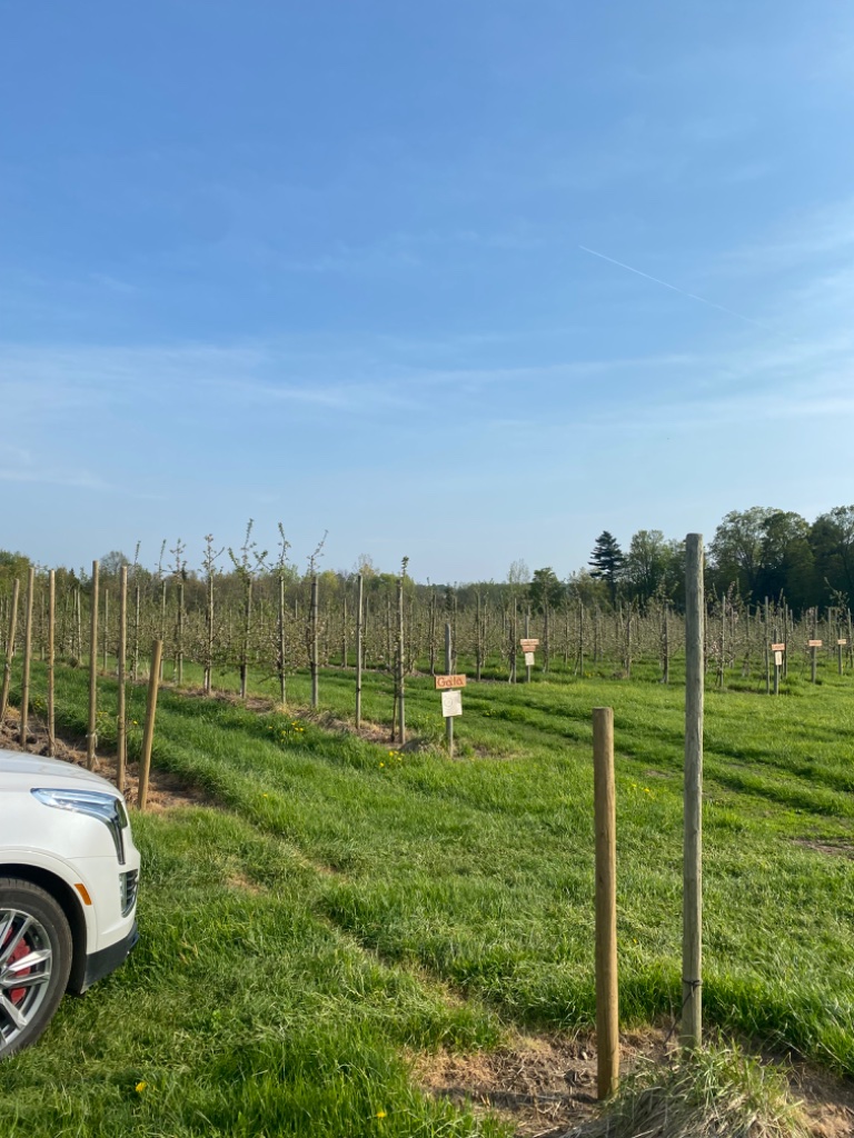 An Afternoon at the Apple Farm photo 2