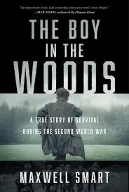 Cover of The Boy in the Woods