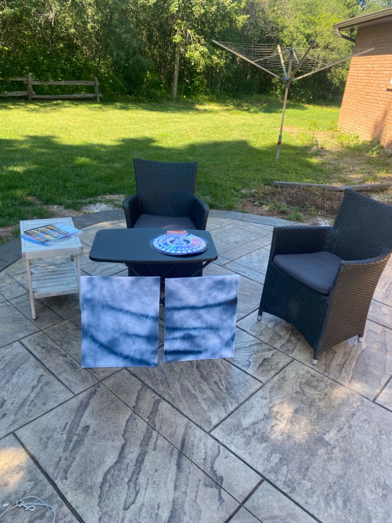 An Afternoon of Painting in the Backyard photo 1