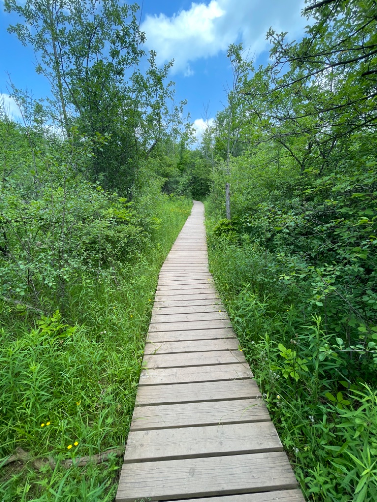 Cheltenham Badlands — Canada Day Hike photo 2