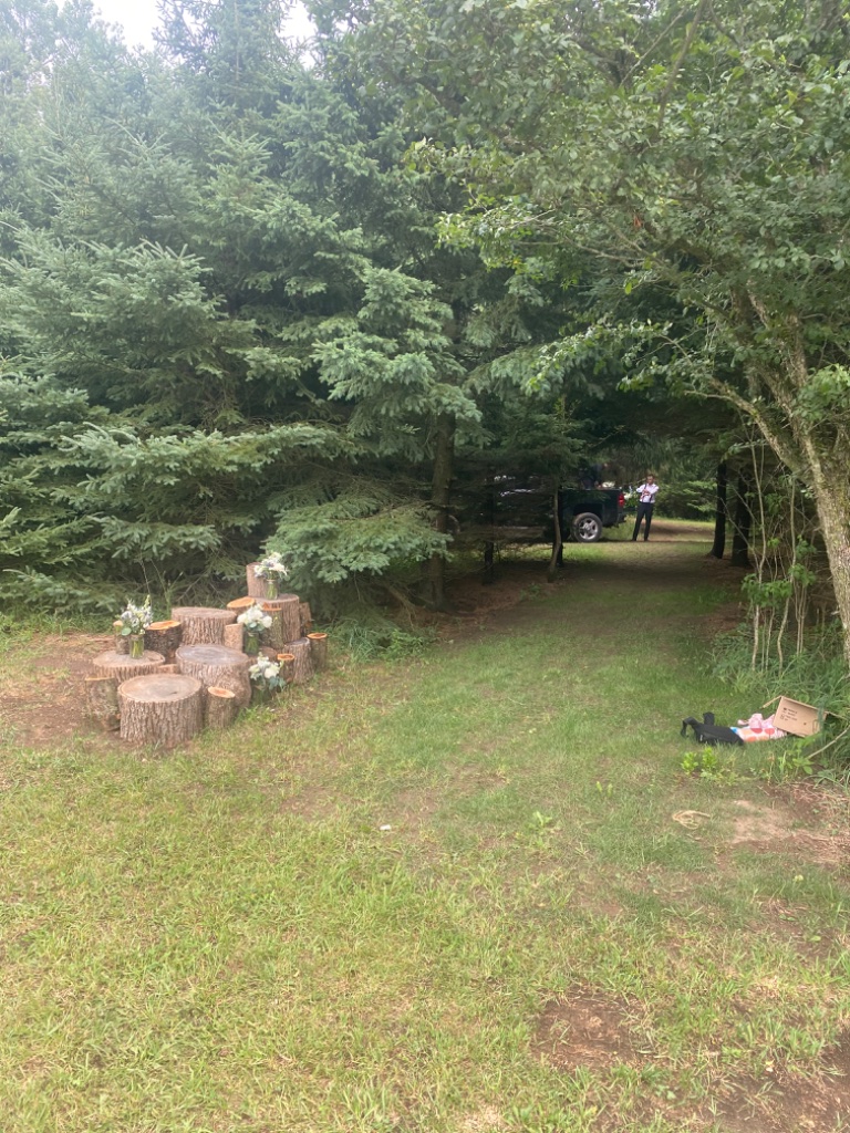 Log rounds with vase arrangements along a forest path
