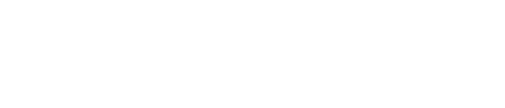 Shoelace