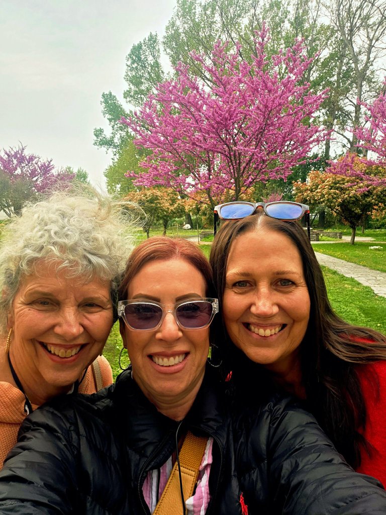 Three ladies selfie among cherry blossoms