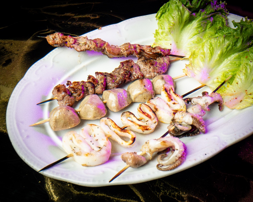 Skewer Sticks