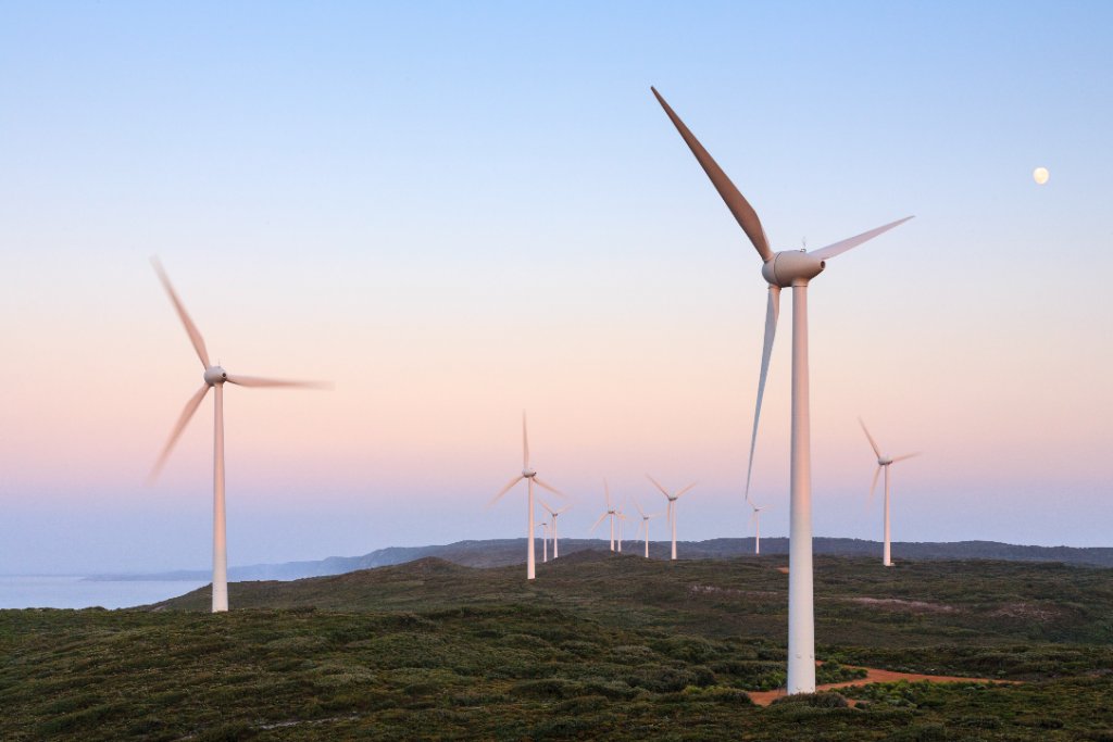 Disciplined & responsible investing