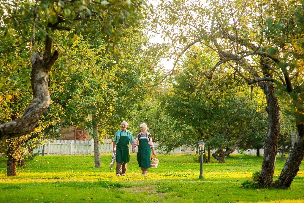 Nature and community