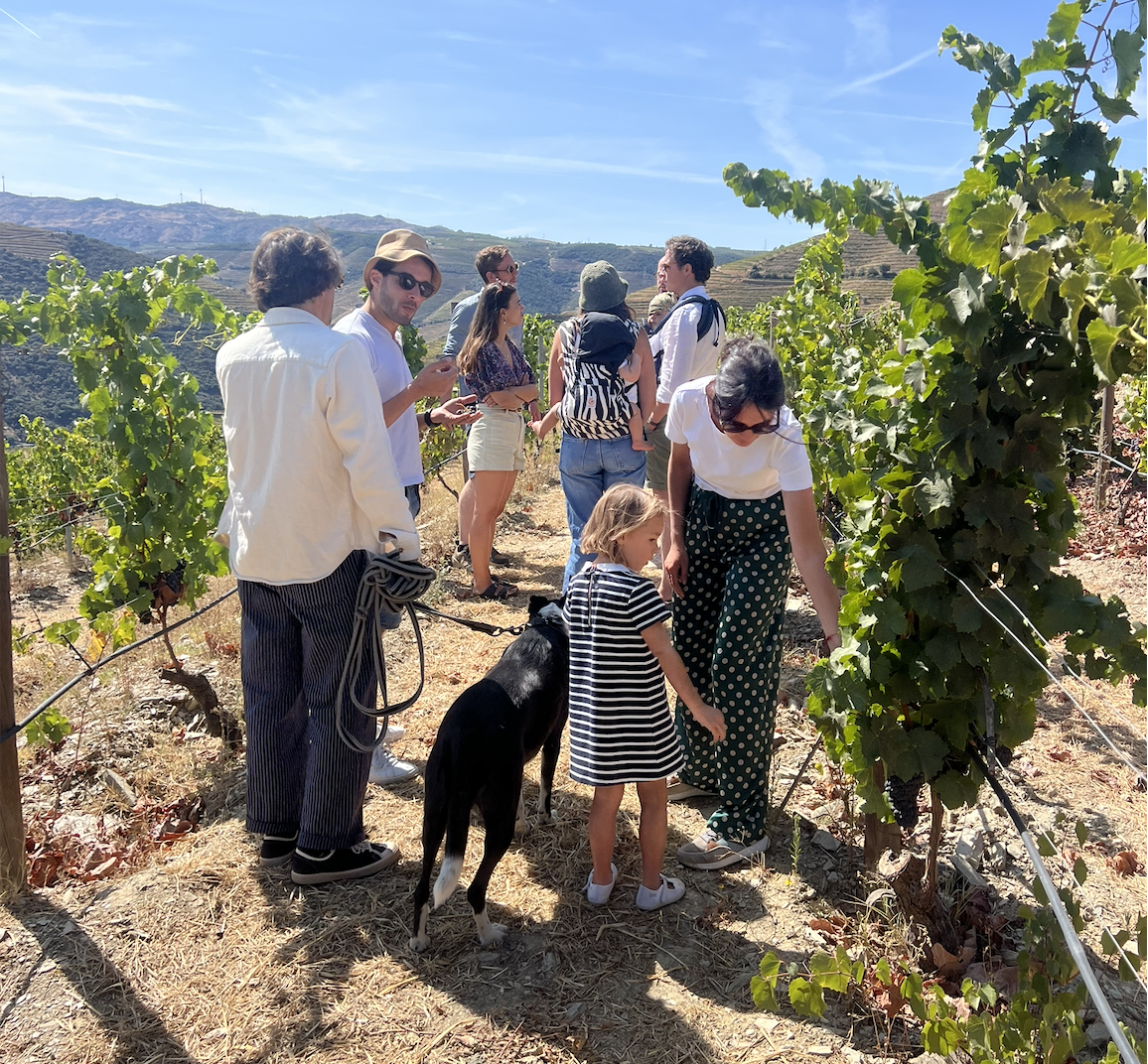 Vineyard & Winery Tour