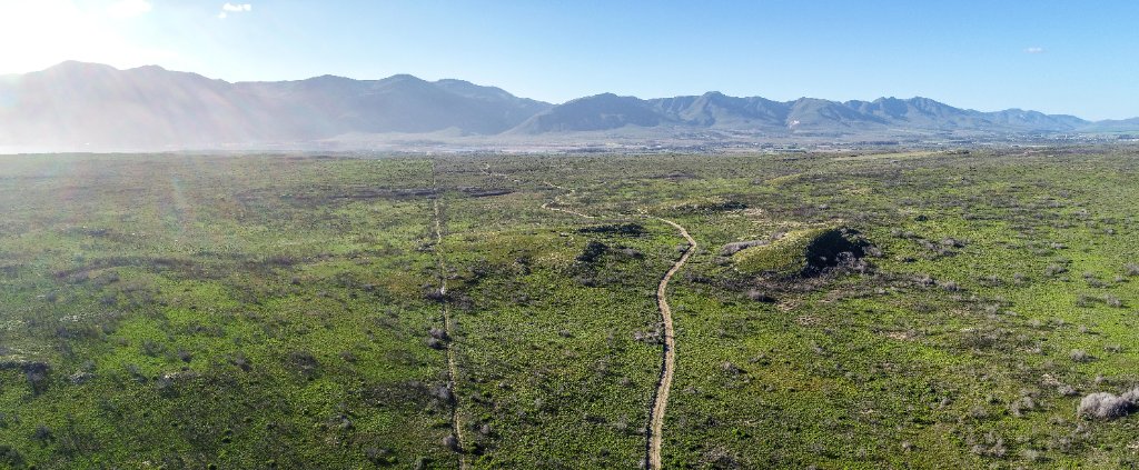 Aerial wetland panorama