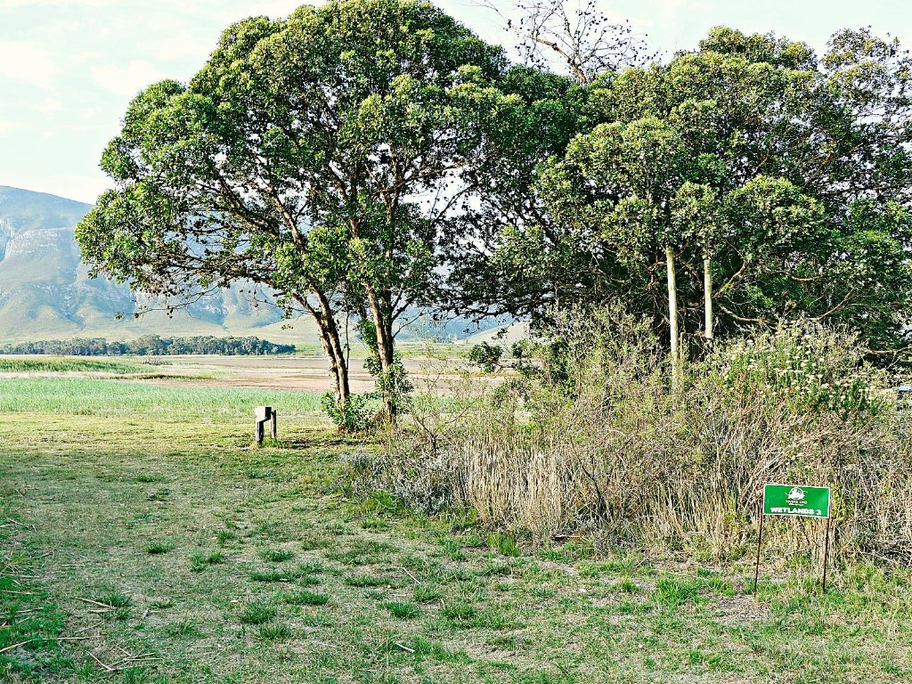 Wetlands