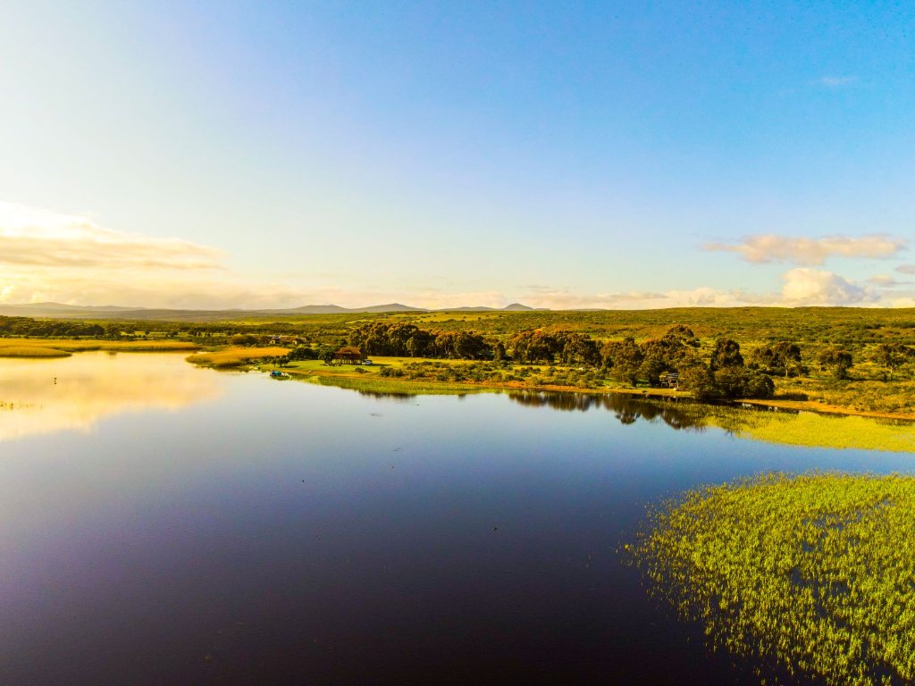 Braaidag farm life