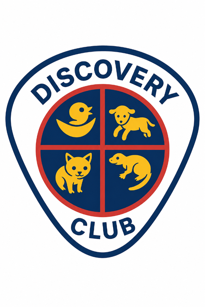 Discovery logo