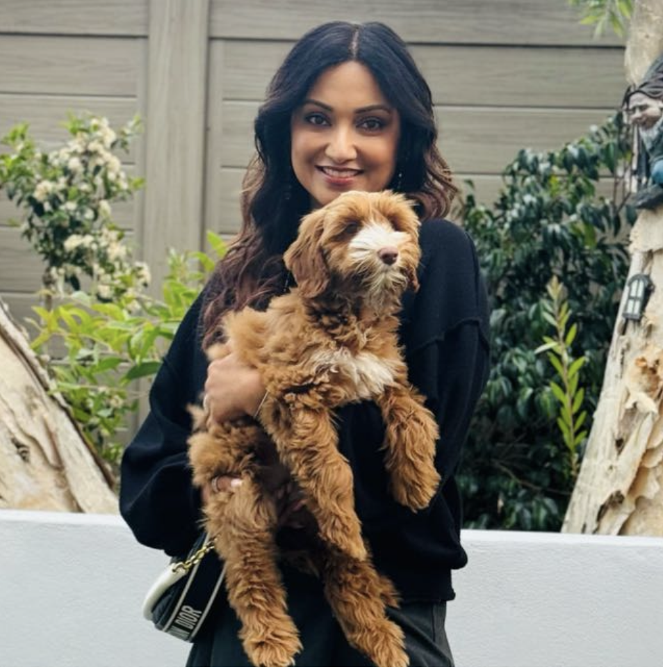 Neera Chanani