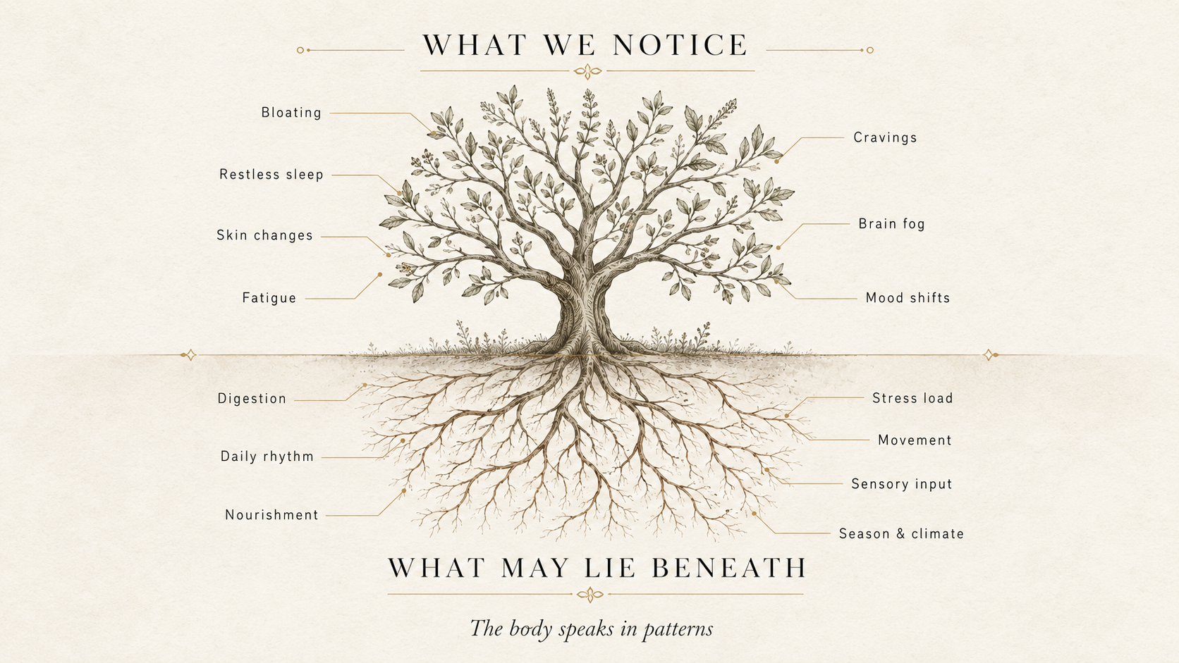 What we notice and what may lie beneath — Ayurvedic root cause tree