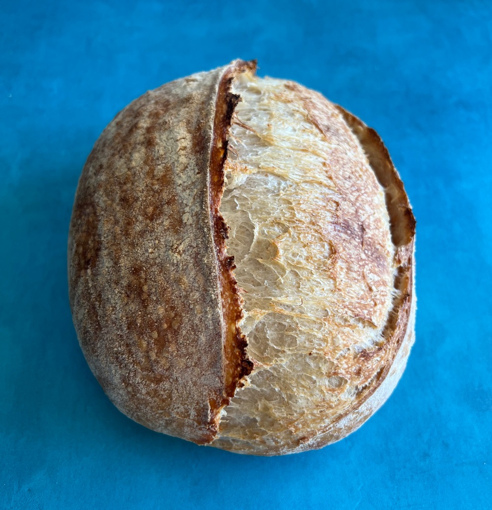 Hands kneading sourdough
