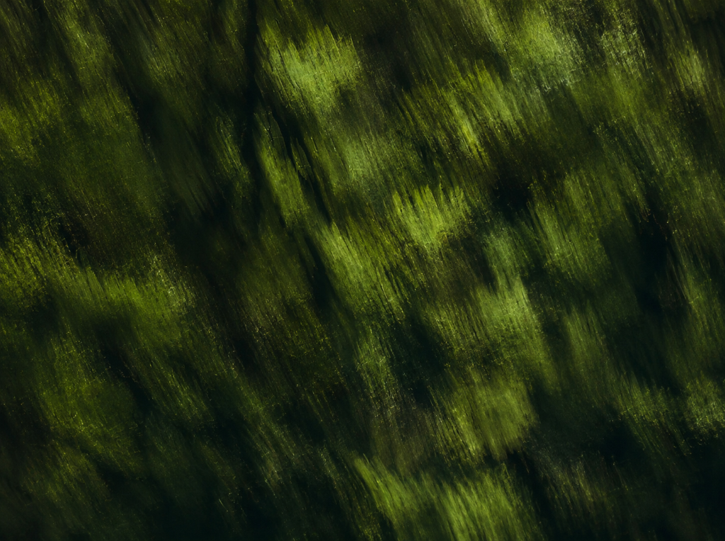 Earth inspired green texture