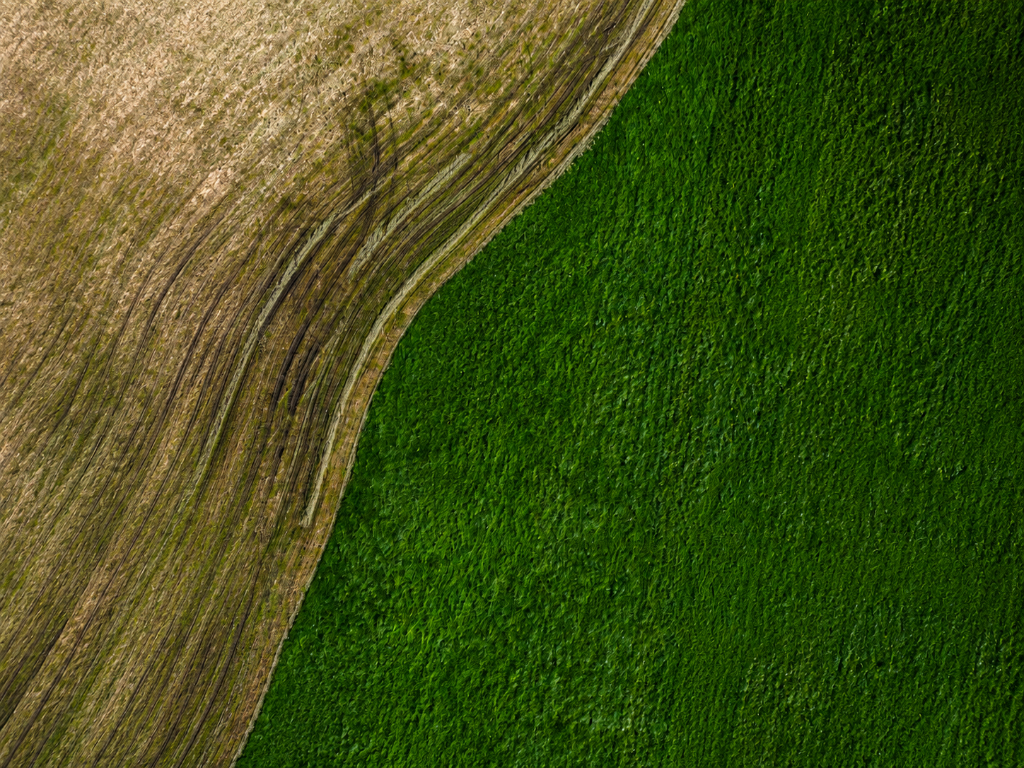 Earth inspired green texture