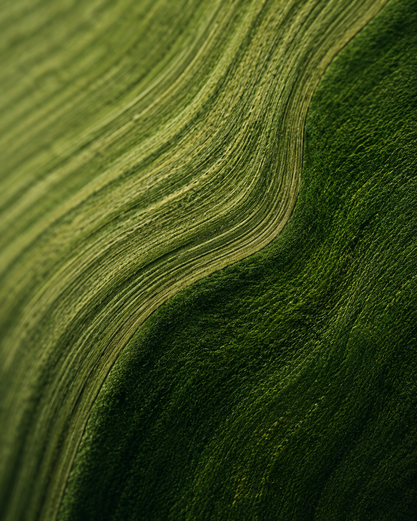 Earth inspired green texture