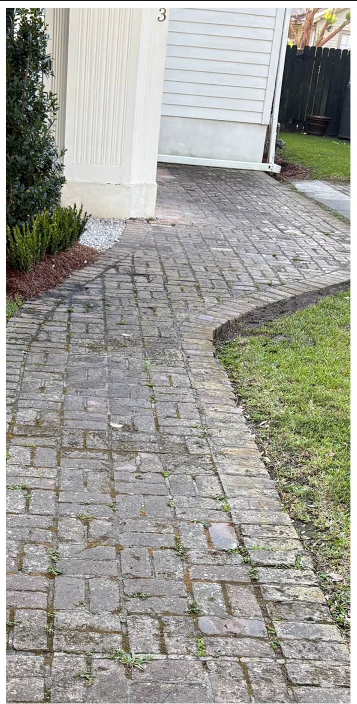 Dirty moss-covered brick paver walkway before cleaning