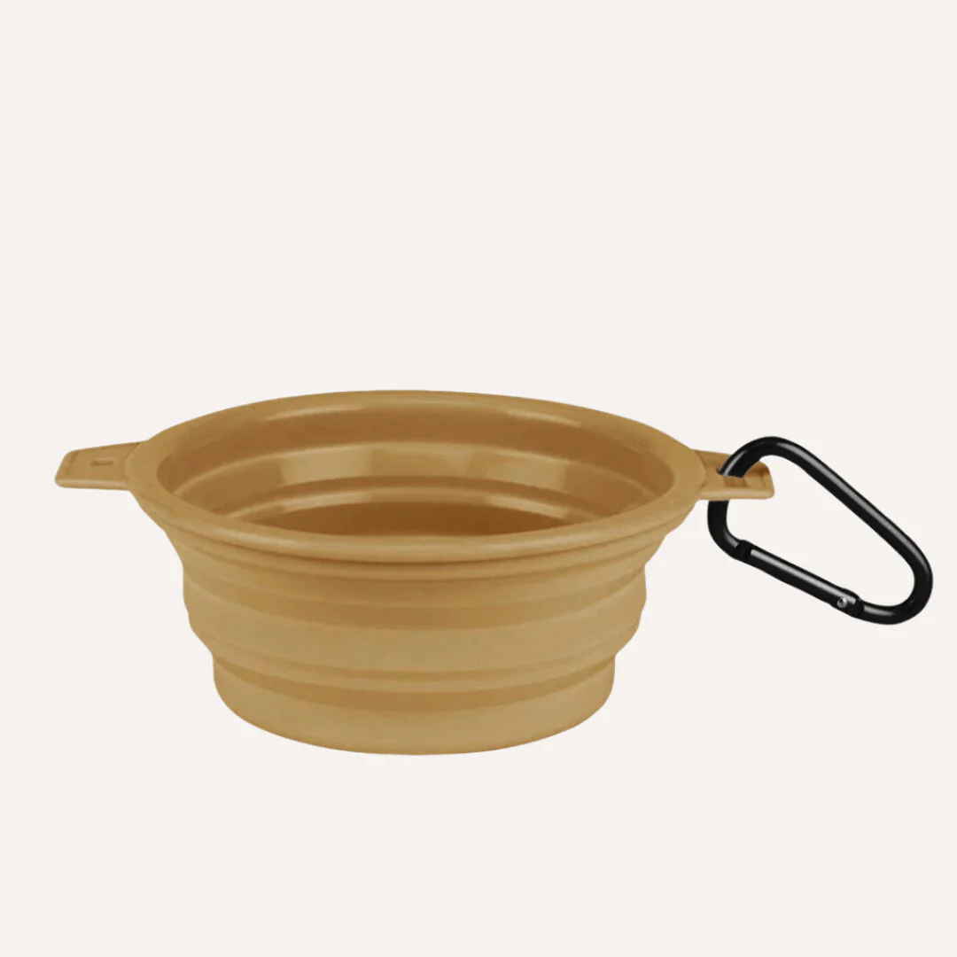 Collapsible Travel Bowl
