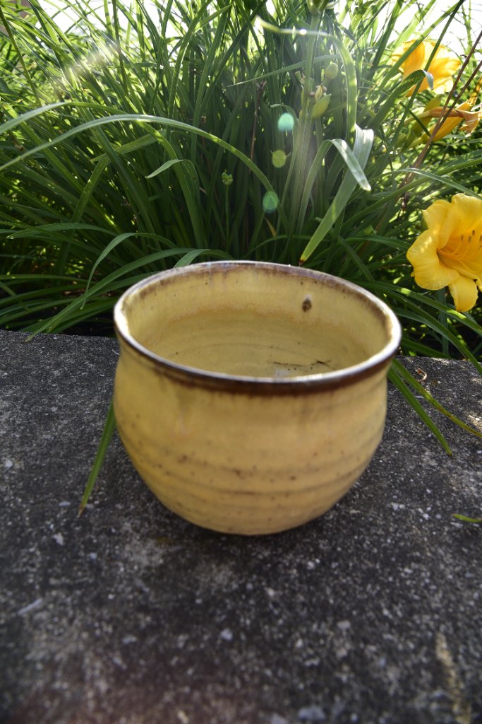 Butter Yellow Flower Pot 1