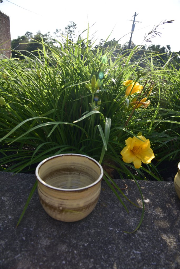 Butter Yellow Flower Pot 2