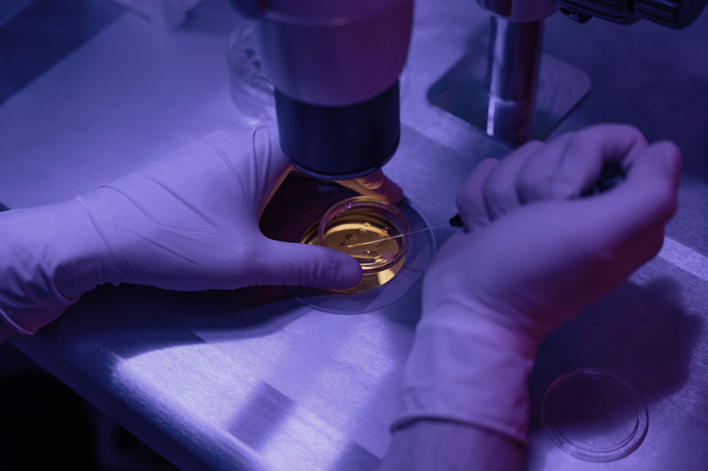 Laboratorio de terapia celular controlado con personal especializado