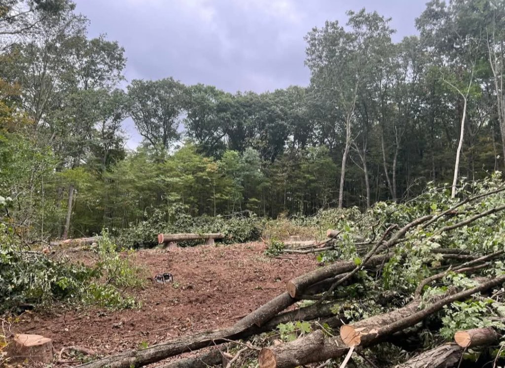 CLEARING IN PROGRESS