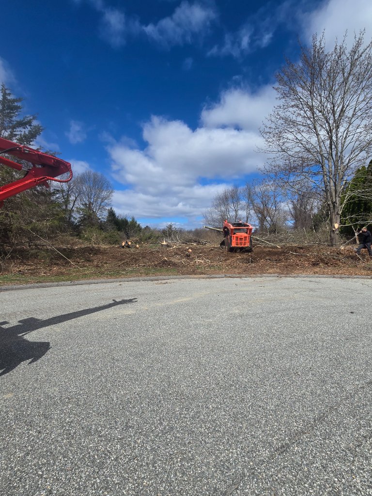 LAND CLEARING IN PROGRESS