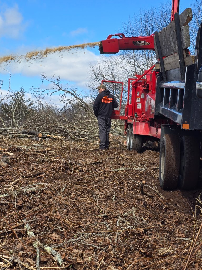 BRUSH CHIPPING ON SITE