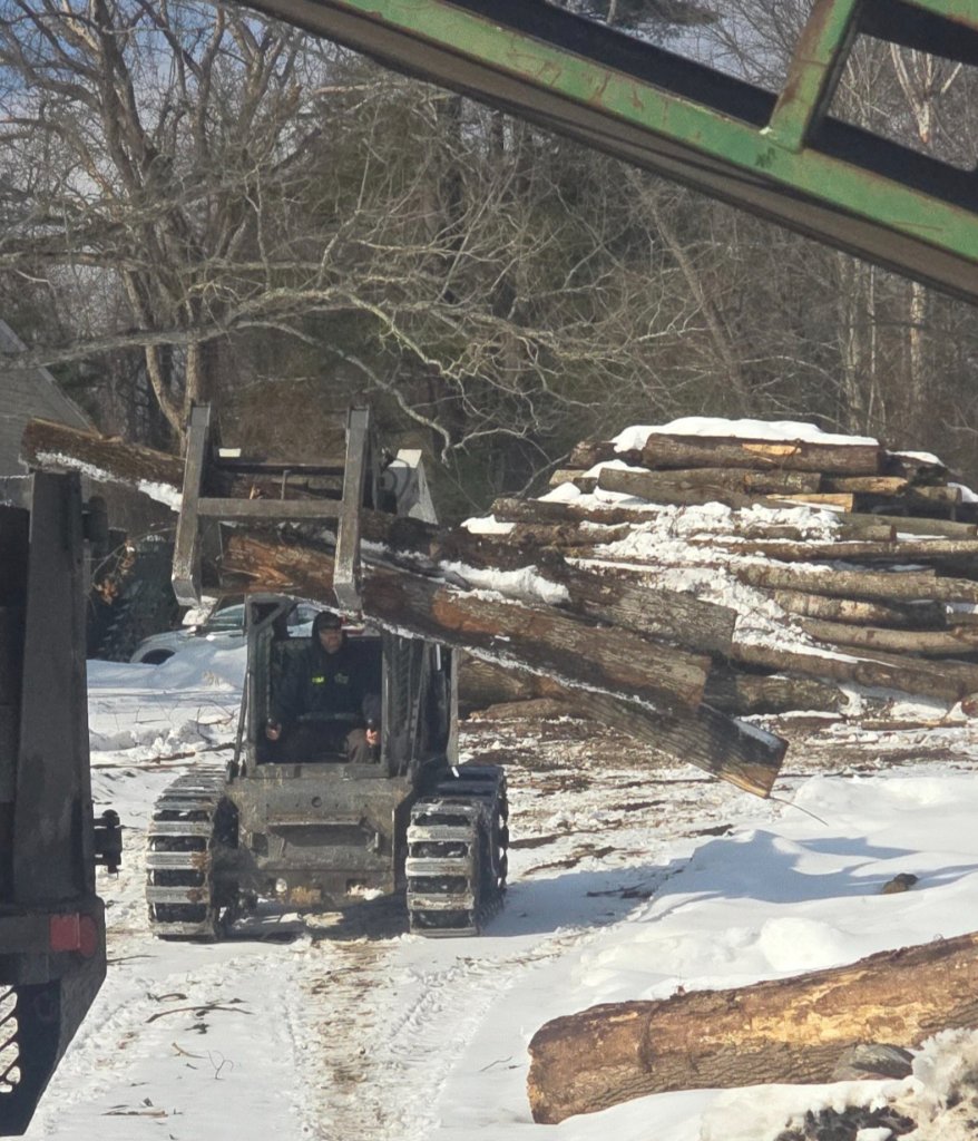 SKID STEER WINTER LOGGING