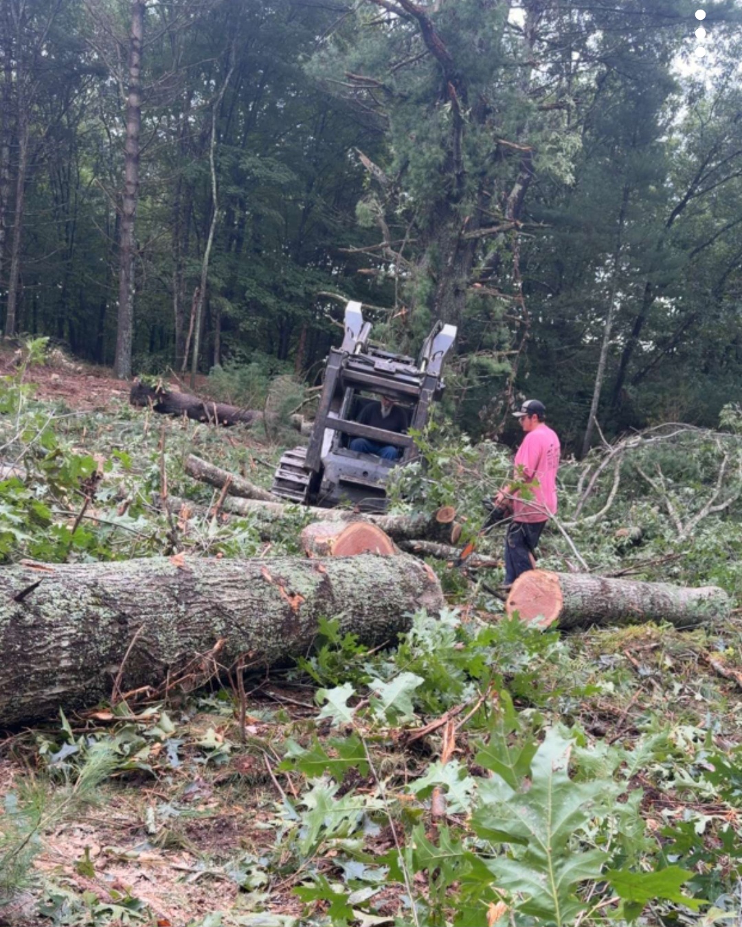 SKID STEER LOGGING CREW