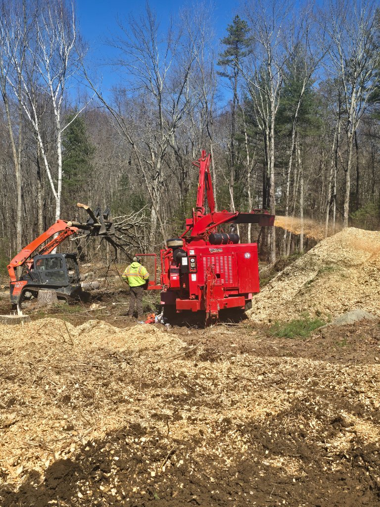 WHOLE TREE CHIPPER