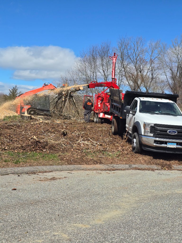 CHIPPER & MULCHER OPERATION
