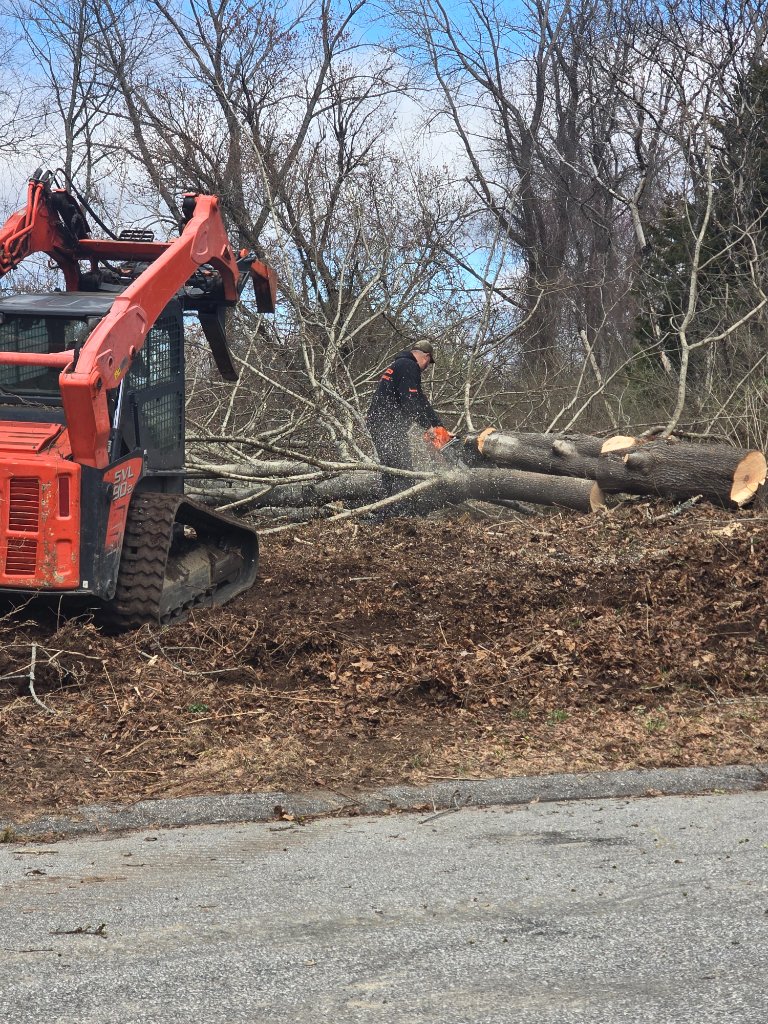 SKID STEER LOG PROCESSING