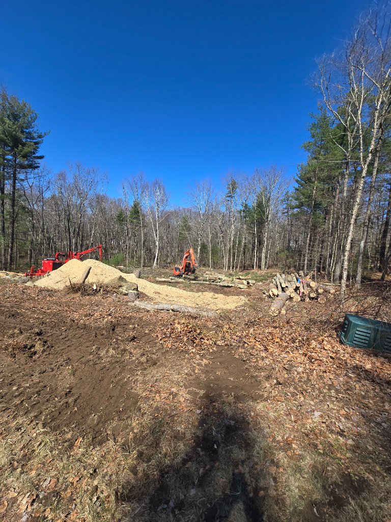 SITE PREP & MULCHING