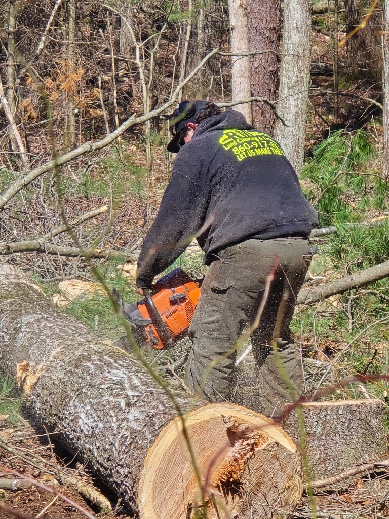 PRECISION LOG CUTTING