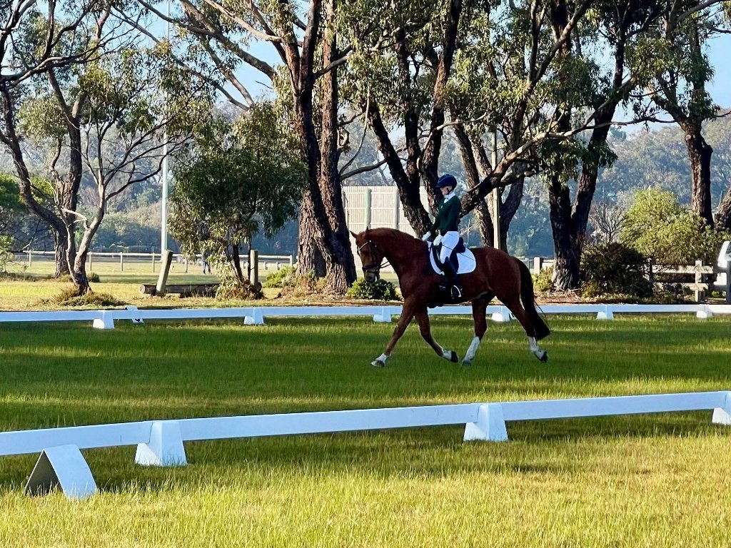 Dressage in the outdoor arena