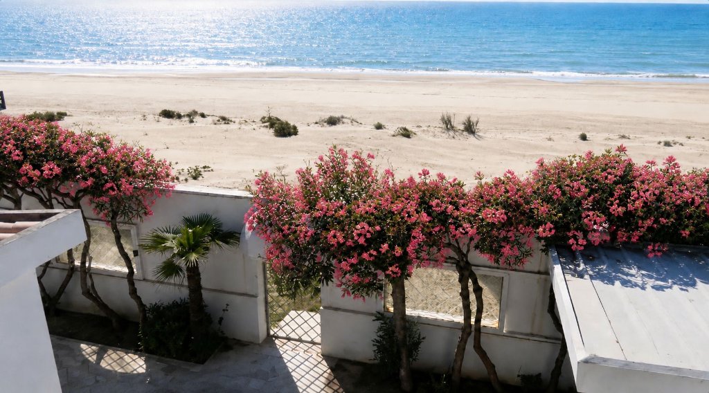 The Rome Beach House