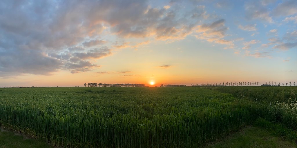 De Kunstwei — polder en wei